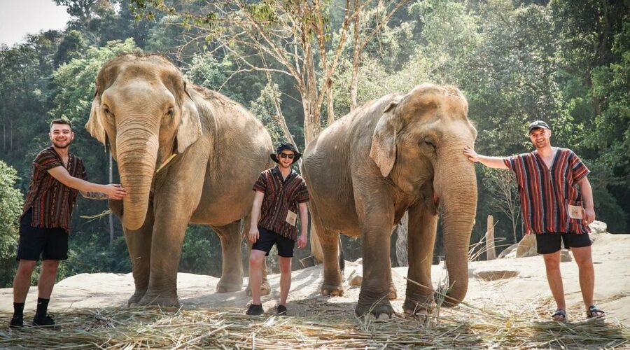 elephant-jungle-sanctuary-chiang-mai-5185